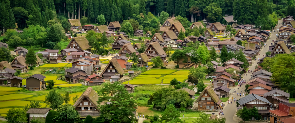 JFGのホームページへようこそ