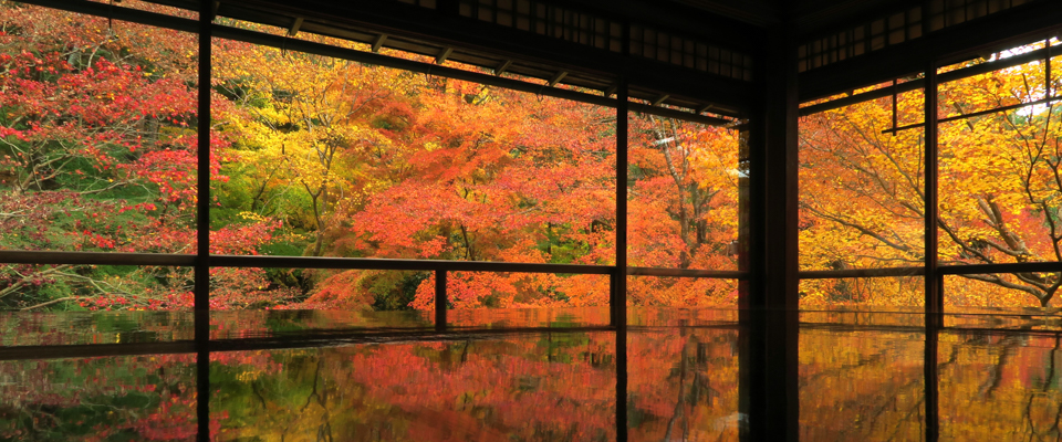 JFGのホームページへようこそ