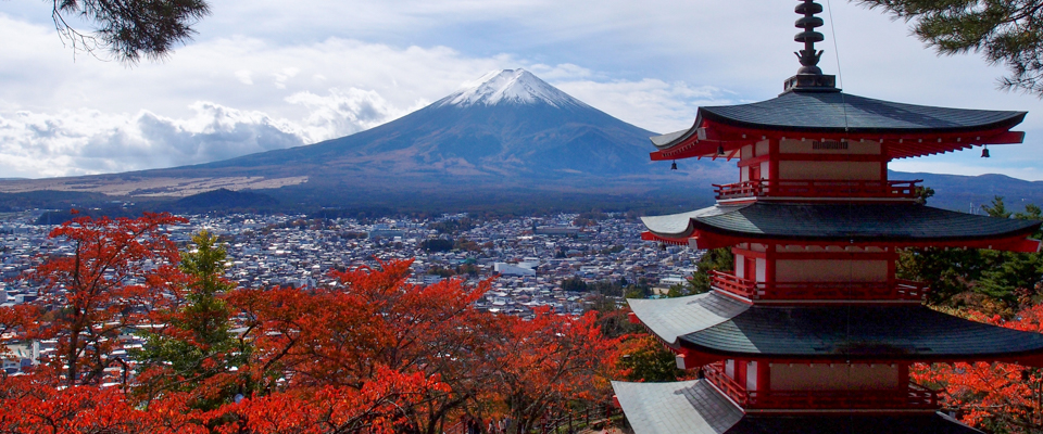 JFGのホームページへようこそ